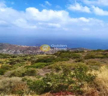 Οικιστικό 3360τ.μ. προς πώληση φωτογραφία 7
