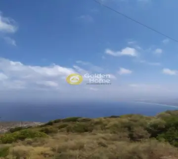 Οικιστικό 3360τ.μ. προς πώληση φωτογραφία 6