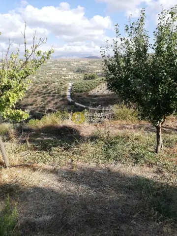 Residential 3890m<sup>2</sup> for sale photo 2