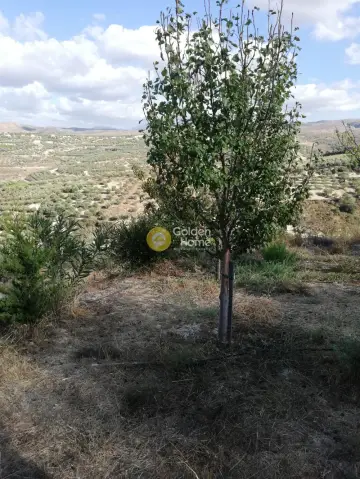 Residential 3890m<sup>2</sup> for sale photo 3