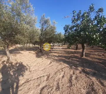 Οικιστικό 1356τ.μ. προς πώληση φωτογραφία 2786977