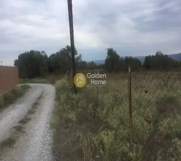 土地 9900m<sup>2</sup> for sale photo 3