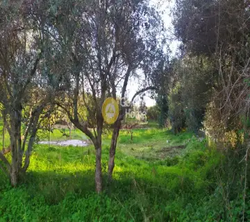 Residential 1220m<sup>2</sup> for sale photo 2769155