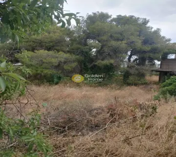 住宅 550m<sup>2</sup> for sale photo 6