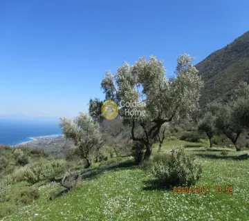 Professional Plot 7918m<sup>2</sup> for sale photo 2
