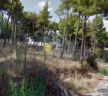 Οικιστικό 800τ.μ. προς πώληση φωτογραφία 2773144