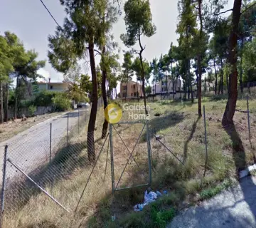 Οικιστικό 800τ.μ. προς πώληση φωτογραφία 2773144