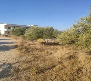 Residential 6339m<sup>2</sup> for sale photo 3