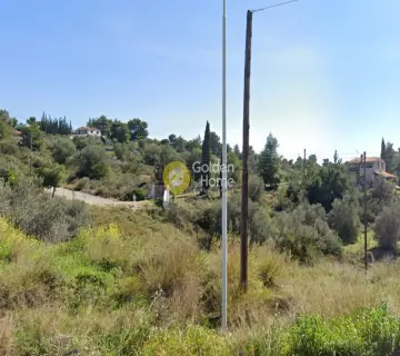 住宅 8371m<sup>2</sup> for sale photo 1