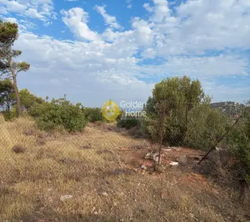 Οικιστικό 409τ.μ. προς πώληση φωτογραφία 4
