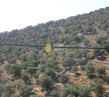 Parcel 26000m<sup>2</sup> for sale photo 2881325