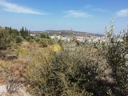 Οικιστικό 299τ.μ. προς πώληση φωτογραφία 1