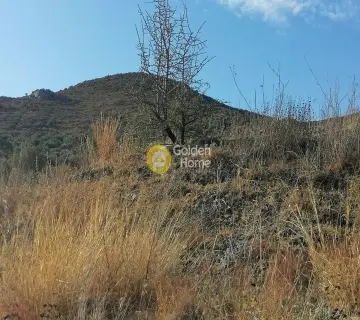 Residential 1417m<sup>2</sup> for sale photo 15