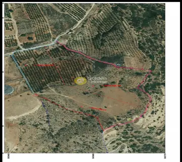 Area 59576m<sup>2</sup> for sale photo 2