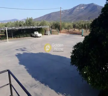 Golden Home Property Image