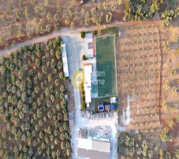 Golden Home Property Image