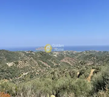 Area 54761m<sup>2</sup> for sale photo 1