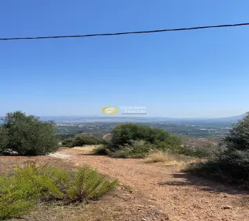 Area 54761m<sup>2</sup> for sale photo 7