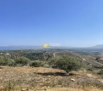 Area 54761m<sup>2</sup> for sale photo 8