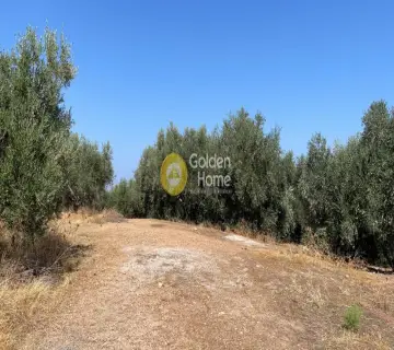 Area 54761m<sup>2</sup> for sale photo 10
