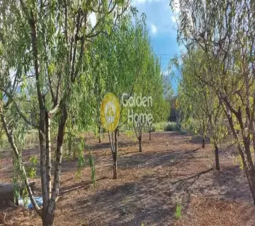 Professional Plot 10400m<sup>2</sup> for sale photo 2787290