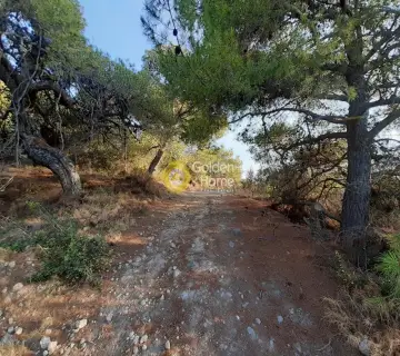 Residential 8900m<sup>2</sup> for sale photo 5