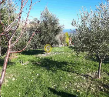 Residential 1250m<sup>2</sup> for sale photo 2