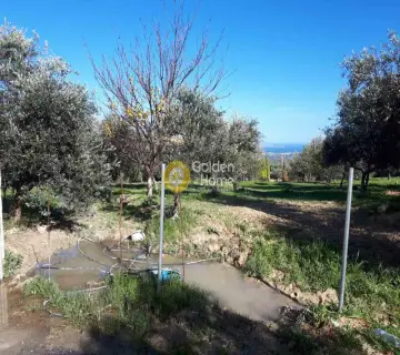 Residential 1250m<sup>2</sup> for sale photo 4