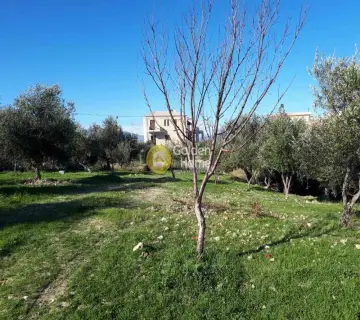 Residential 1250m<sup>2</sup> for sale photo 5