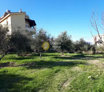 Residential 1250m<sup>2</sup> for sale photo 6