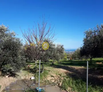 Residential 1250m<sup>2</sup> for sale photo 7