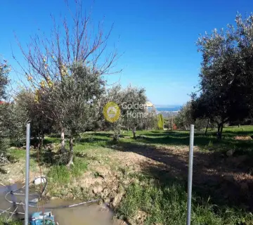Residential 1250m<sup>2</sup> for sale photo 8
