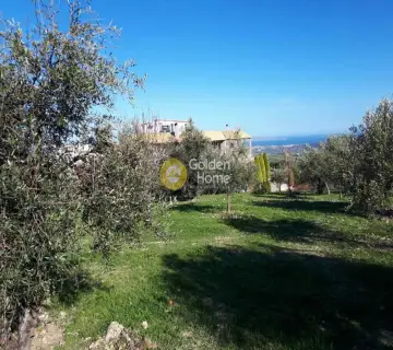 Residential 1250m<sup>2</sup> for sale photo 9