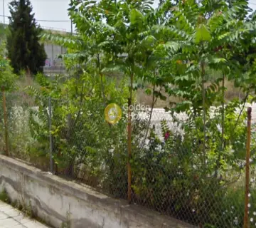 Residential 1240m<sup>2</sup> for sale photo 2985292