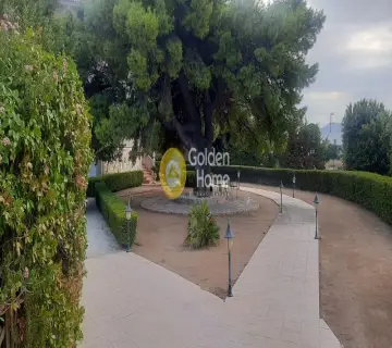 Golden Home Property Image