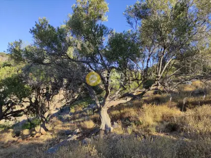 Residential 9200m<sup>2</sup> for sale photo 11