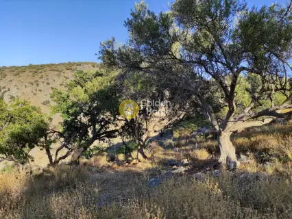 Residential 9200m<sup>2</sup> for sale photo 14