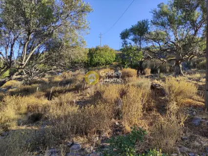 Residential 9200m<sup>2</sup> for sale photo 15
