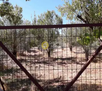 Αγροτεμάχιο 4281τ.μ. προς πώληση φωτογραφία 3