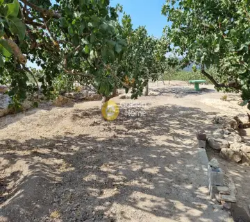 Professional Plot 4260m<sup>2</sup> for sale photo 5