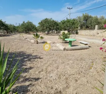 Professional Plot 4260m<sup>2</sup> for sale photo 11