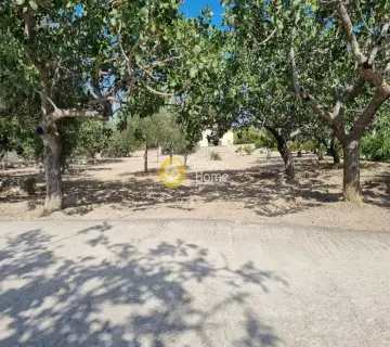 Residential 4260m<sup>2</sup> for sale photo 2822535