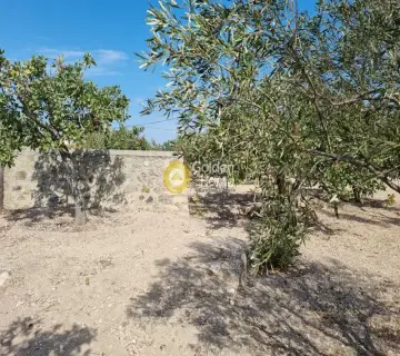 Residential 4260m<sup>2</sup> for sale photo 2822537