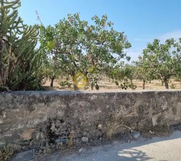 Οικιστικό 5120τ.μ. προς πώληση φωτογραφία 2818253