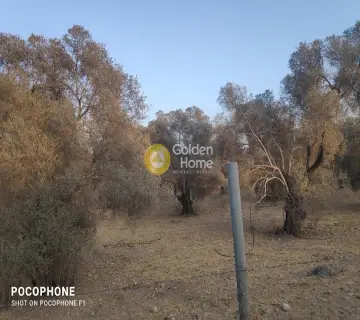 Area 25000m<sup>2</sup> for sale photo 2813691