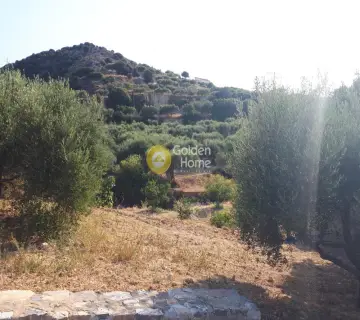 Residential 7000m<sup>2</sup> for sale photo 8