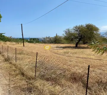 Residential 3200m<sup>2</sup> for sale photo 2876955