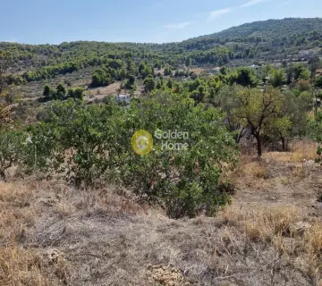 Residential 887m<sup>2</sup> for sale photo 2817723