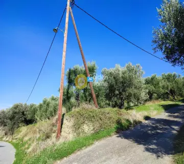 Residential 1900m<sup>2</sup> for sale photo 19