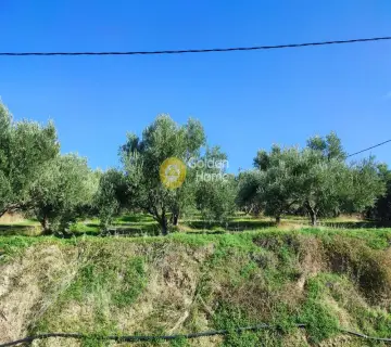 Residential 1900m<sup>2</sup> for sale photo 17